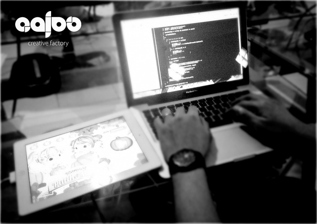 Qajoo Programmer Coding